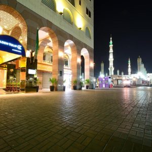 جولدن توليب الذهبي