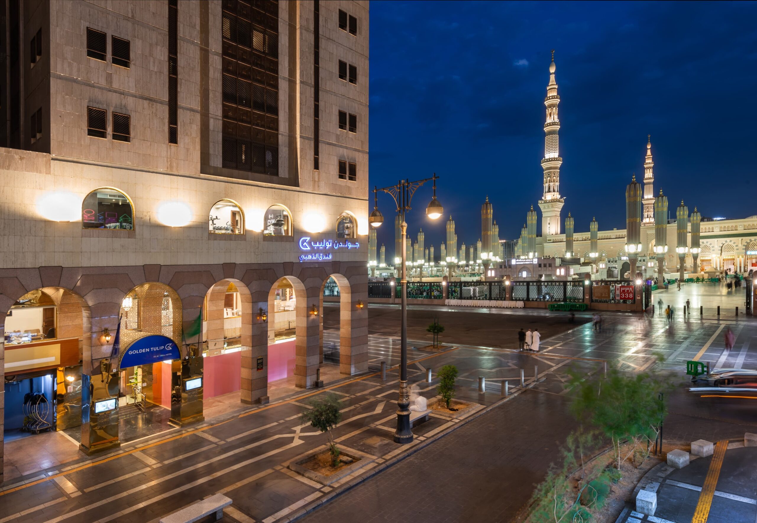 جولدن توليب الذهبى